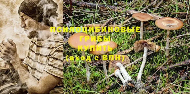 Галлюциногенные грибы Magic Shrooms  Пятигорск 